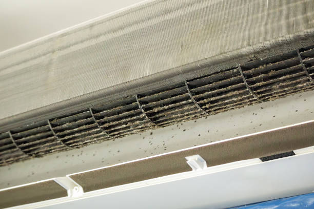 Best Professional Duct Cleaning Services  in Packanack Lake, NJ